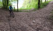 Trail Mountain bike Arbin - les vignes et la combe de Savoie  - Photo 4