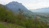 Trail Mountain bike Arbin - les vignes et la combe de Savoie  - Photo 2