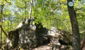Tocht Stappen Dambach-la-Ville - Les ruines de Bernstein et d'Ortenbourg par la forêt - Photo 20