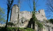 Excursión Senderismo Dambach-la-Ville - Les ruines de Bernstein et d'Ortenbourg par la forêt - Photo 19