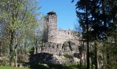 Percorso Marcia Dambach-la-Ville - Les ruines de Bernstein et d'Ortenbourg par la forêt - Photo 13