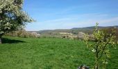 Tocht Stappen Climbach - Marché du territoire à Wingen.  - Photo 6