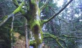 Tocht Stappen Arvillard - Tunnels de Saint-Hugon-2 - Photo 2