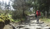 Trail Walking Chanaleilles - Le Sauvage - Aumont-Aubrac - Photo 2