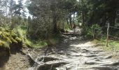 Trail Walking Chanaleilles - Le Sauvage - Aumont-Aubrac - Photo 1
