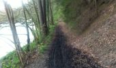 Trail Walking Aywaille - Laurent - Photo 4