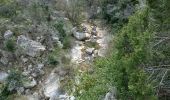 Trail Walking Moustiers-Sainte-Marie - Le canyon d'Angouire - Photo 1