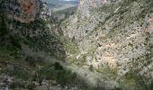 Excursión Senderismo Moustiers-Sainte-Marie - Le canyon d'Angouire - Photo 7