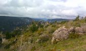 Randonnée Autre activité La Roque-Sainte-Marguerite - feroces20.04.2016 - Photo 4