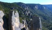 Excursión Otra actividad Le Rozier - Feroces 22.04.2015 - Photo 2