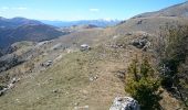 Trail Walking Roubion - Mont Brassière, sommet du content, tête de Chamia et cordes Moulines - Photo 8