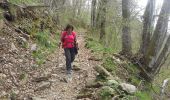 Trail Walking Nasbinals - Montgros ( Nasbinals ) - Saint Chely d'Aubrac - Photo 2
