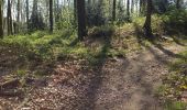 Trail Nordic walking Le Châtellier - repérage relais 2015 3 - Photo 2