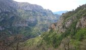 Randonnée Marche Fontan - Berghe, Granit, Pas de la Tranché, col de Tâte, Granges d'Amatte - Photo 13