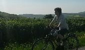 Percorso Bicicletta Jully-lès-Buxy - saint martin d t vallee guye - Photo 2