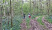 Tocht Andere activiteiten Thuin - Thuin ours - Photo 2