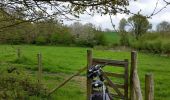 Excursión Bicicleta Ronse - Ellezelles par Louise-Marie et chemins  - Photo 2