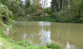 Excursión Bicicleta Ronse - Ellezelles par Louise-Marie et chemins  - Photo 14