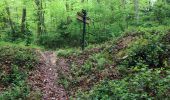 Trail Nordic walking Le Châtellier - Relais 2015 étape 2 - Photo 2