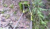Trail Walking Arvillard - Tunnels de Saint-Hugon-3 - Photo 6