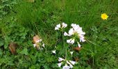 Tocht Stappen Wanze - Promenade botanique - Photo 4