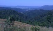 Tocht Mountainbike Lesseux - lesseux frontière Alsace  - Photo 1