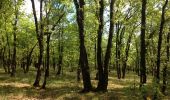 Tocht Andere activiteiten Rocamadour - balades en passant par rocamadour  - Photo 12