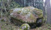 Trail Walking Apinac - Chemin des pierres  - Photo 3