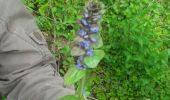 Trail Walking Soignies - flore tieusie - Photo 13