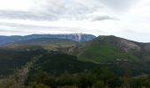 Tour Mountainbike Buis-les-Baronnies - Rando Buis les barronies - Photo 3