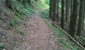 Trail Walking Fellering - kruth - Photo 8