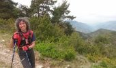 Trail Other activity Utelle - madome utelle par le.cros - Photo 13