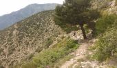 Trail Other activity Utelle - madome utelle par le.cros - Photo 9