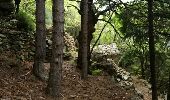 Trail Walking Mons - boucle mons bardou heric  - Photo 1