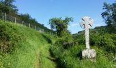 Trail Walking Viala-du-Tarn - Le Minier crete - Photo 15