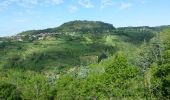 Randonnée Marche Viala-du-Tarn - Le Minier crete - Photo 10