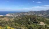 Tour Wandern Collioure - COLLIOURE 66 - Ermitage ND de consolation - tour MADELOC - Photo 12