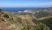 Trail Walking Collioure - COLLIOURE 66 - Ermitage ND de consolation - tour MADELOC - Photo 11