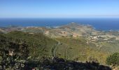 Trail Walking Collioure - COLLIOURE 66 - Ermitage ND de consolation - tour MADELOC - Photo 10