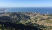 Tour Wandern Collioure - COLLIOURE 66 - Ermitage ND de consolation - tour MADELOC - Photo 2