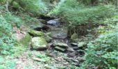 Trail Walking Lédergues - rando estourials bosc  - Photo 1