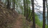 Trail Walking Colmars - Cabane de Noncieres - Photo 10