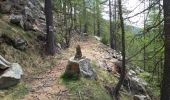 Trail Walking Colmars - Cabane de Noncieres - Photo 5