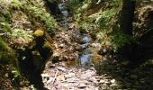 Trail Walking Baelen - gileppe - Photo 3