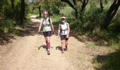 Trail Running Sainte-Maxime - trail maxime - Photo 2
