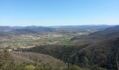 Tocht Stappen Les Aires - Saint Michel la coquillade - Photo 20