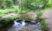 Percorso Marcia Lans-en-Vercors - Vallon du Bruyant - Photo 6