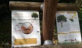 Trail Walking Le Taillan-Médoc - parcours orientation - Photo 5