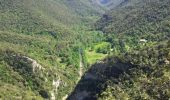 Trail Walking Sales de Llierca - Gorges de St Aniol Sadernes - Photo 3
