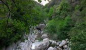 Trail Walking Sales de Llierca - Gorges de St Aniol Sadernes - Photo 1